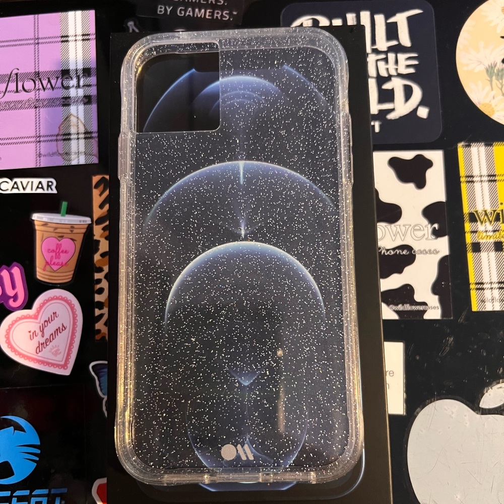 iPhone 11 casemate case